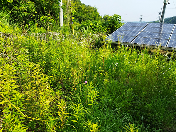 実績・評判口コミ画像01-岐阜県　49.5kW　低圧