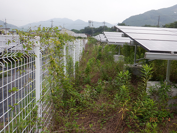 実績・評判口コミ画像02-兵庫県　49.5kW　低圧