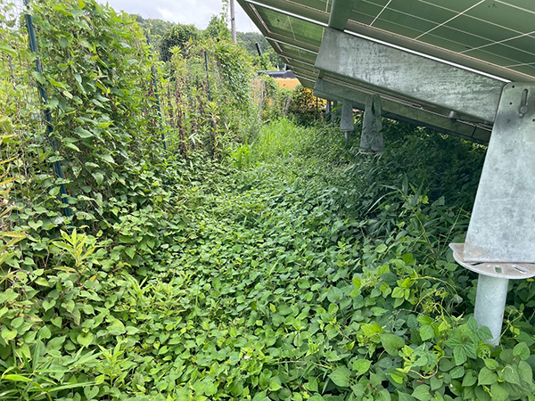 実績・評判口コミ画像02-栃木県　49.5kW　低圧