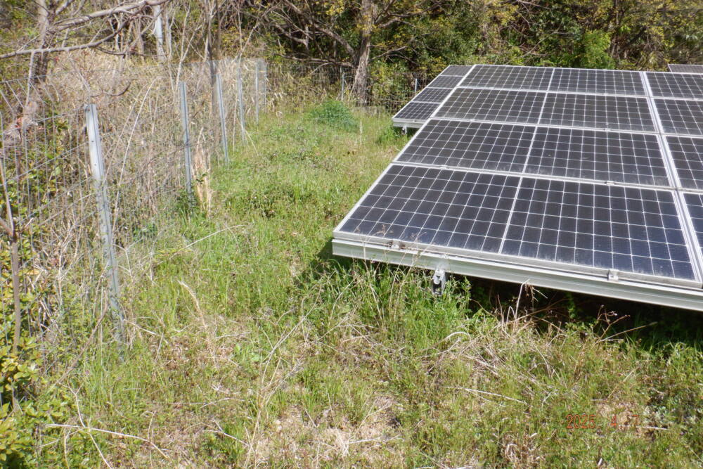 実績・評判口コミ画像01-香川県　除草　49.5kW　低圧