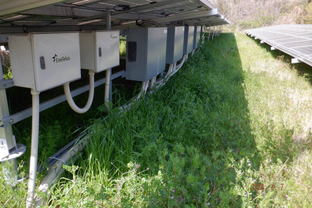 実績・評判口コミ画像03-香川県　除草　49.5kW　低圧