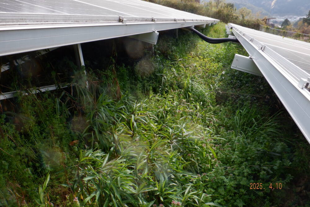 実績・評判口コミ画像01-和歌山県 除草 49.5kW 低圧