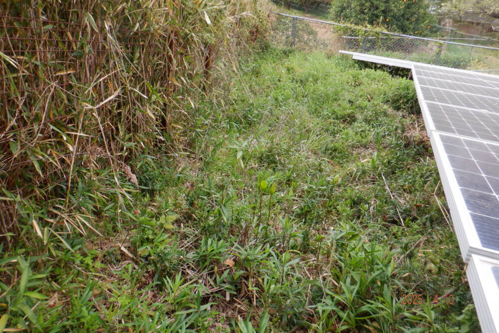 実績・評判口コミ画像02-和歌山県 除草 49.5kW 低圧