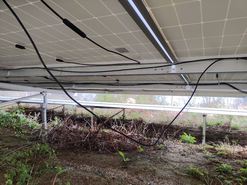 実績・評判口コミ画像03-広島県　49.5kW　低圧