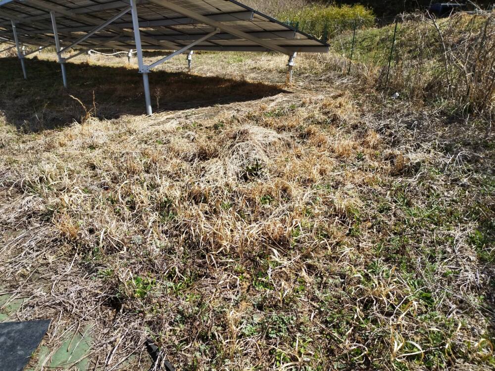 実績・評判口コミ画像02-岐阜　49.5kW　低圧