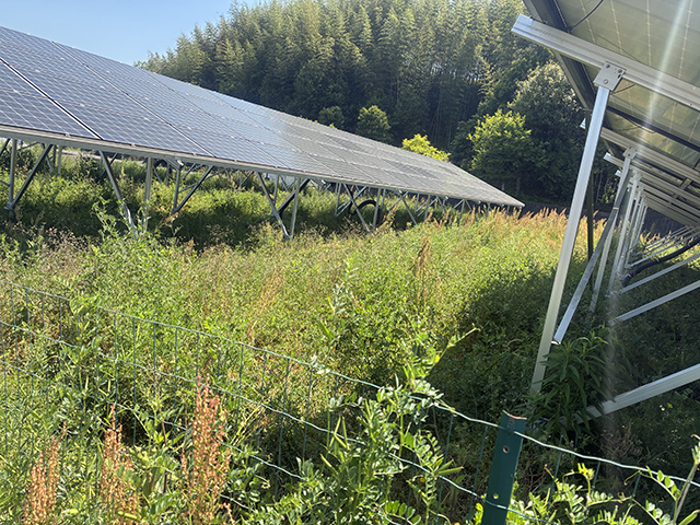 実績・評判口コミ画像02-徳島県　49.5kW　低圧