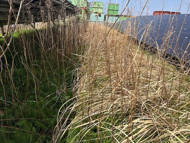 実績・評判口コミ画像01-三重県　49.5kW　低圧