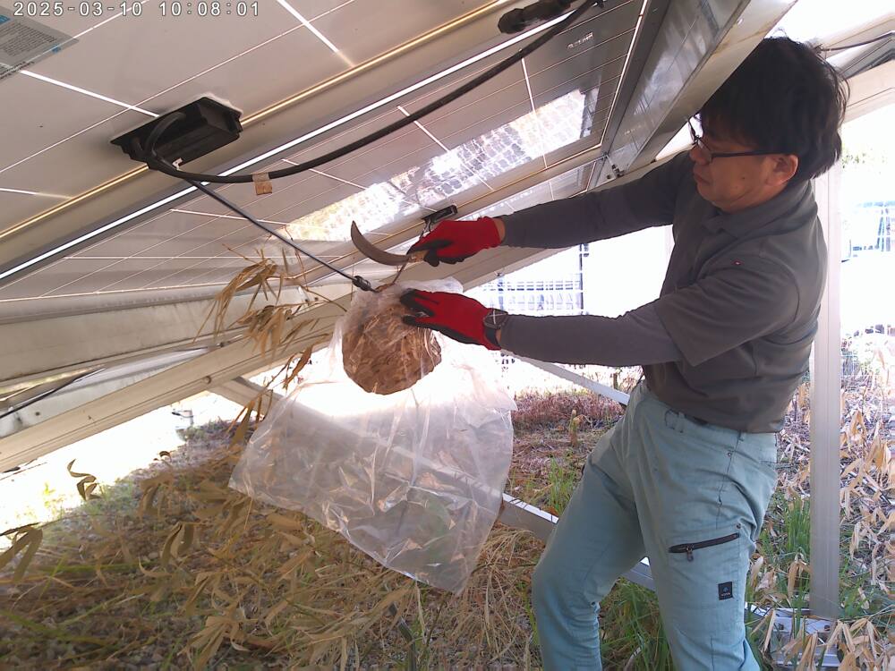 実績・評判口コミ画像03-徳島県　スポット　49.5kW　低圧
