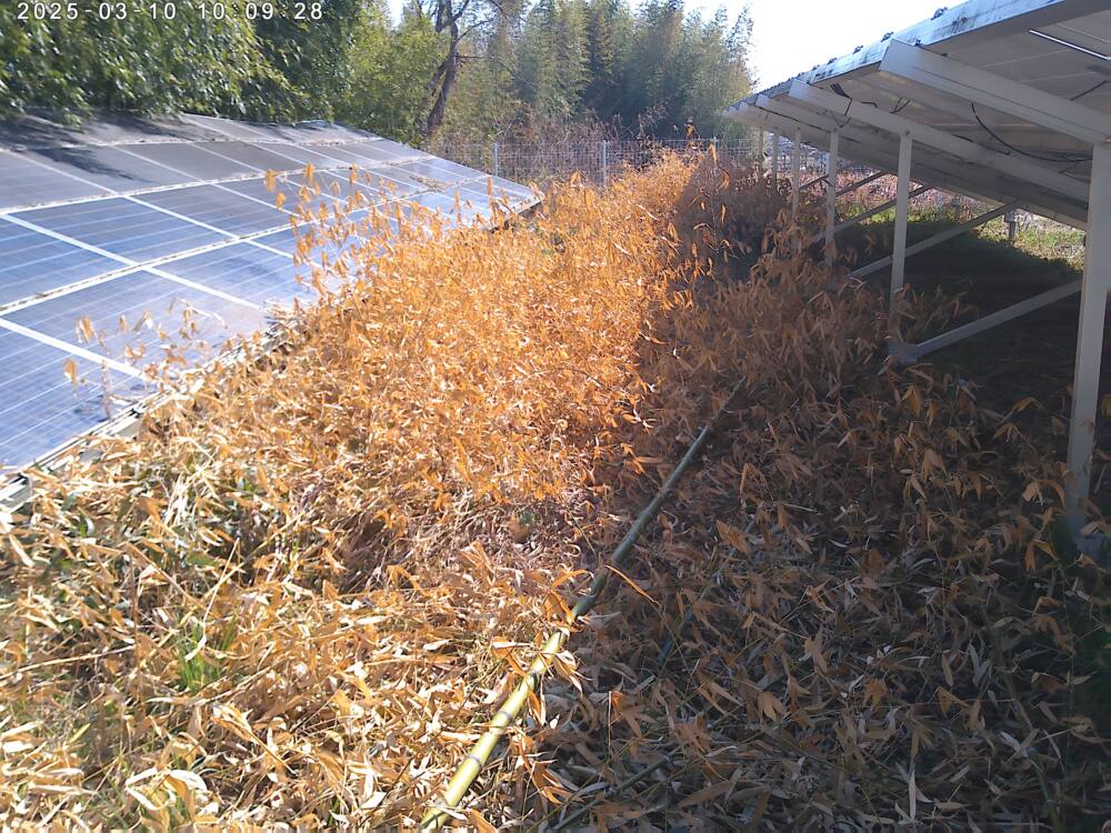 実績・評判口コミ画像01-徳島県　スポット　49.5kW　低圧