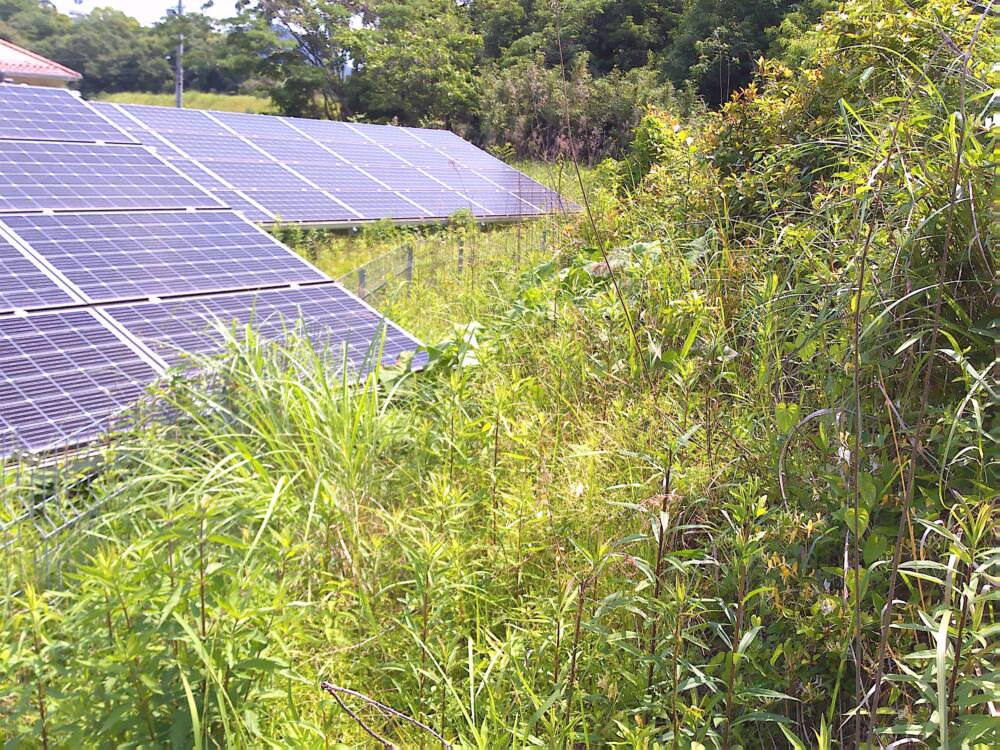 実績・評判口コミ画像01-愛媛県　49.5kW　低圧