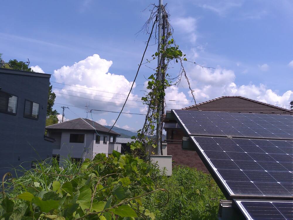 実績・評判口コミ画像02-愛媛県　49.5kW　低圧