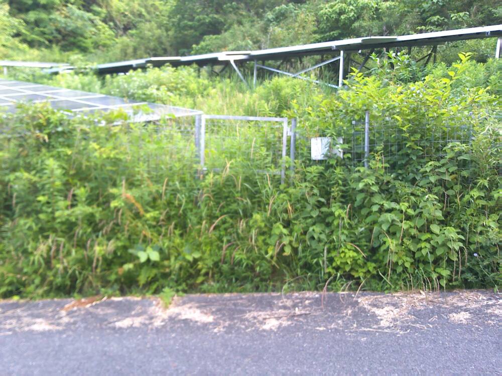 実績・評判口コミ画像03-山口県　49.5KW　低圧