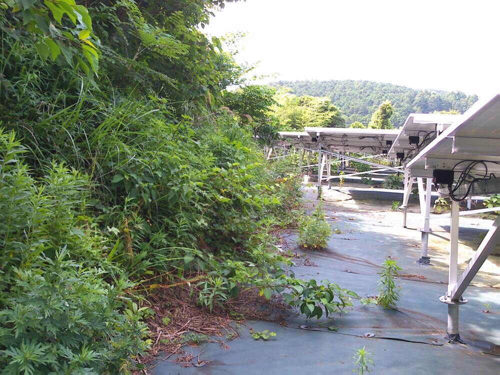 実績・評判口コミ画像02-高知県　49.5kW  低圧