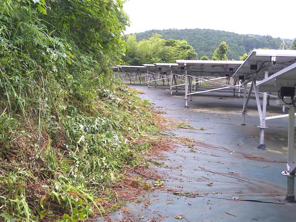 実績・評判口コミ画像03-高知県　49.5kW  低圧