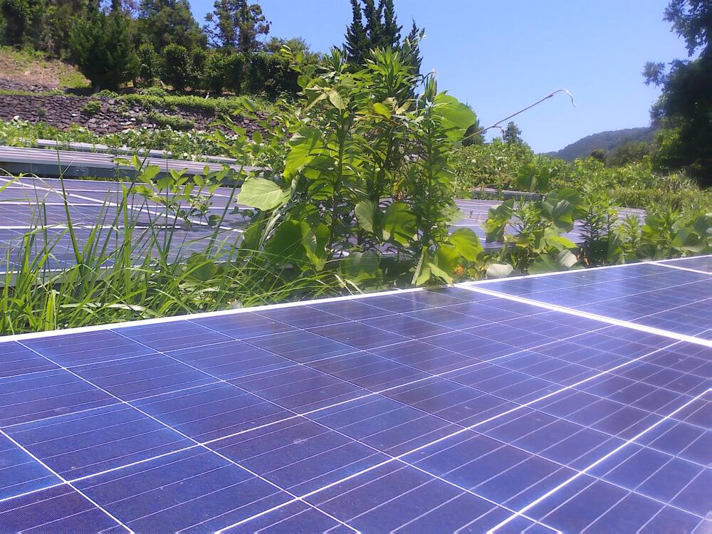 実績・評判口コミ画像01-愛媛県　49.5kW　低圧