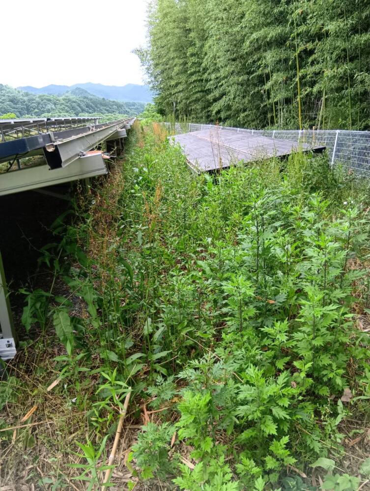 実績・評判口コミ画像01-京都府 除草 630kW 高圧