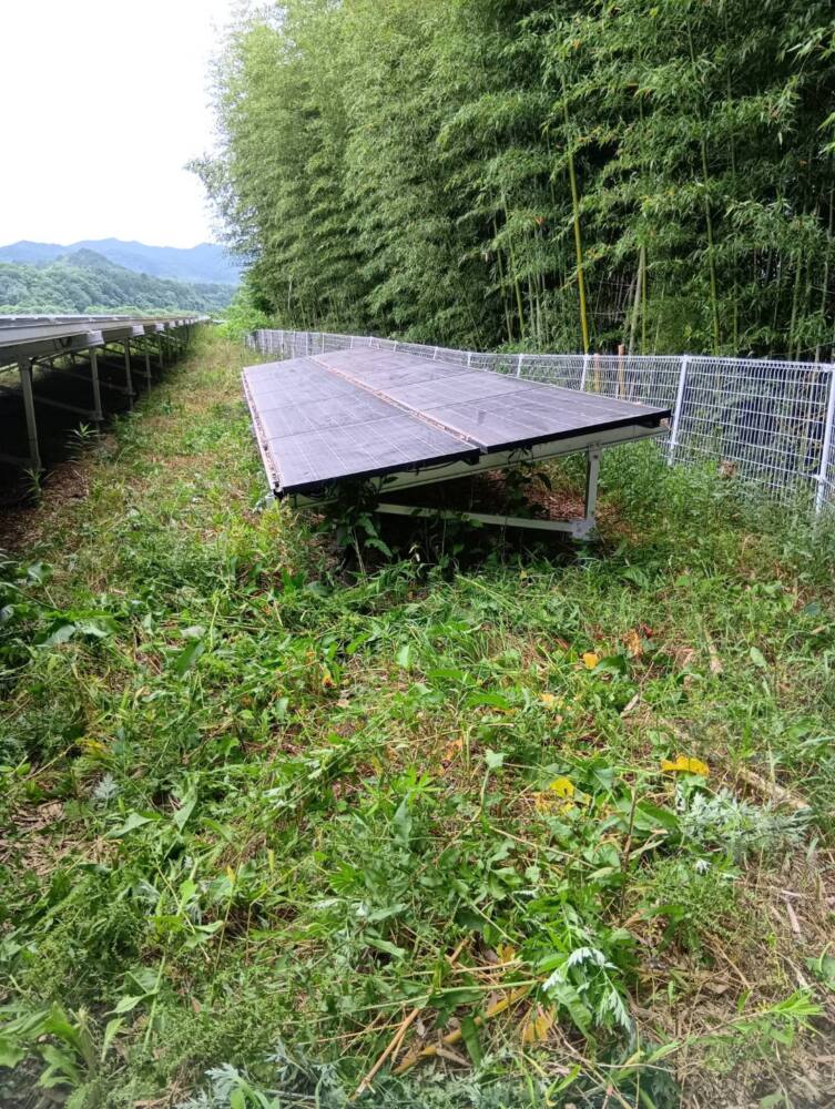 実績・評判口コミ画像02-京都府 除草 630kW 高圧