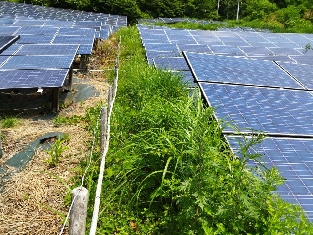 実績・評判口コミ画像02-長野県　49.5kW　低圧