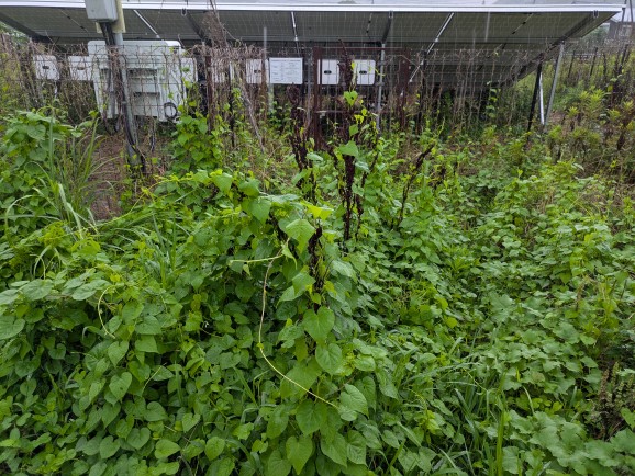 実績・評判口コミ画像01-佐賀県　49.5kW　低圧