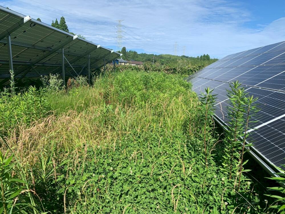 実績・評判口コミ画像01-鹿児島県　49.5kW　低圧