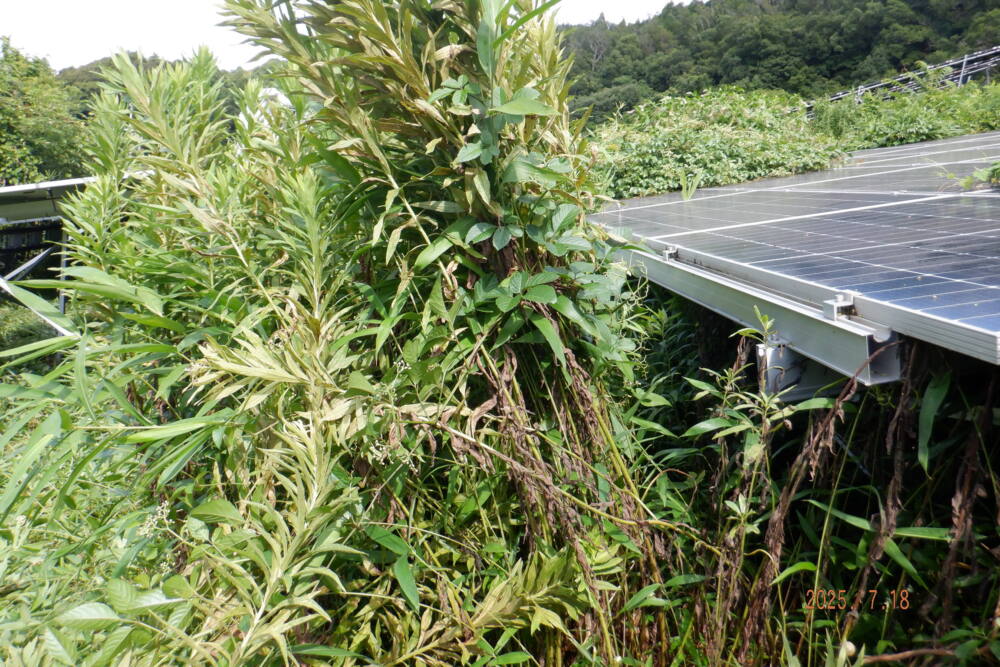 実績・評判口コミ画像02-和歌山県　49.5kW　低圧