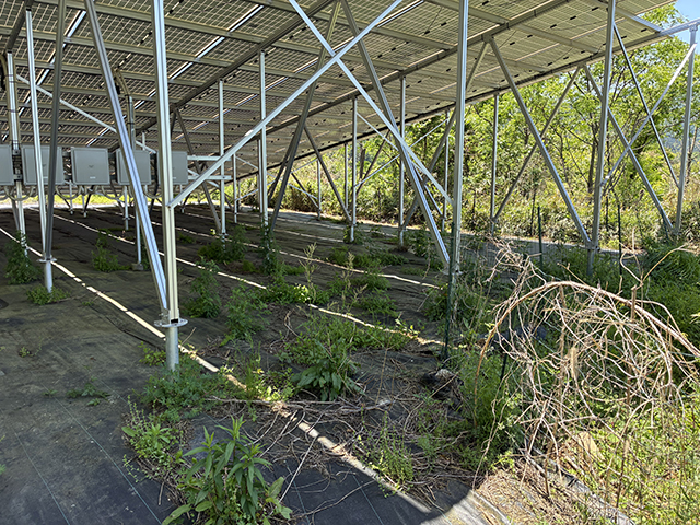 実績・評判口コミ画像01-徳島県　38.5kW　低圧