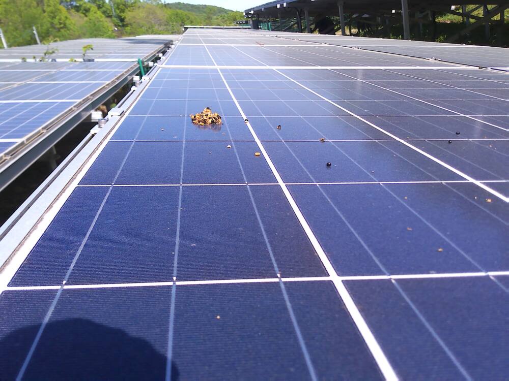 実績・評判口コミ画像02-徳島県　49.5kW　低圧