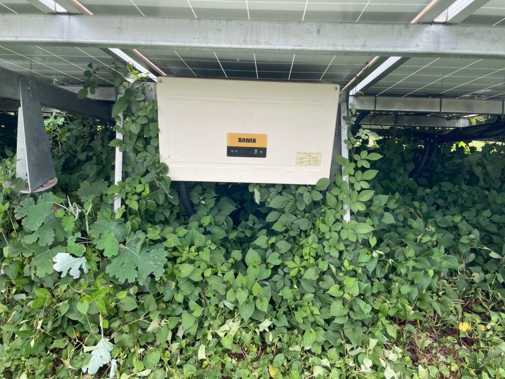 実績・評判口コミ画像01-栃木県　49.5kW　低圧