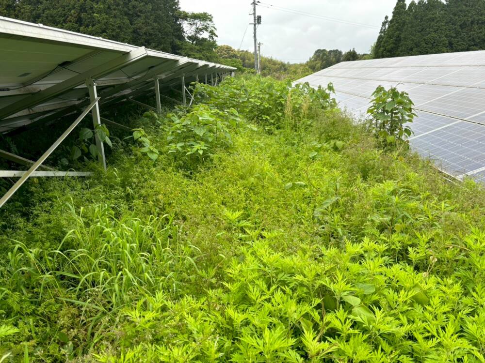 実績・評判口コミ画像01-熊本県　49.5kW　低圧