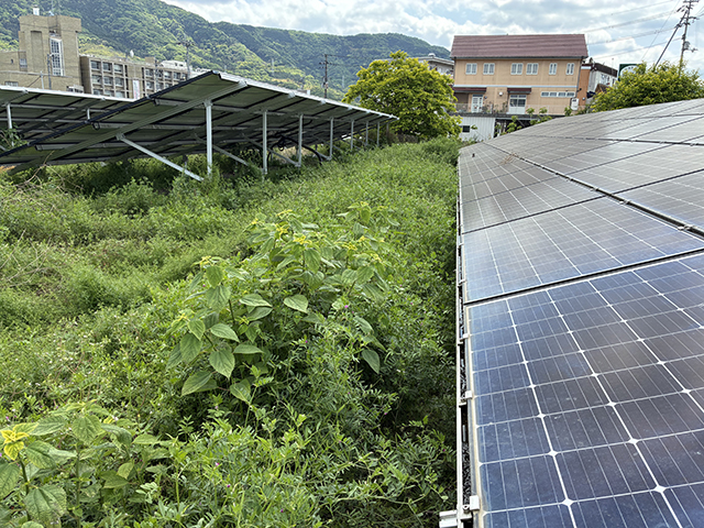 実績・評判口コミ画像03-徳島県　49.5kW　低圧