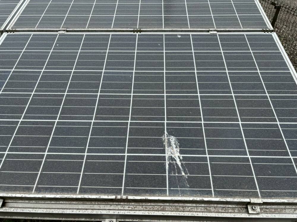 実績・評判口コミ画像01-鹿児島県　49.5kW　低圧