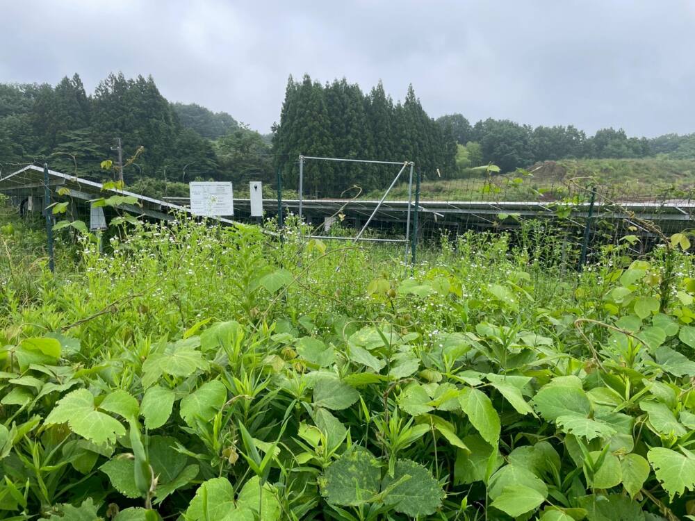 実績・評判口コミ画像03-栃木県　49.5kW　低圧