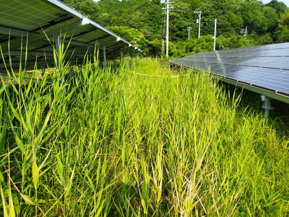 実績・評判口コミ画像01-岐阜県　49.5kW　低圧