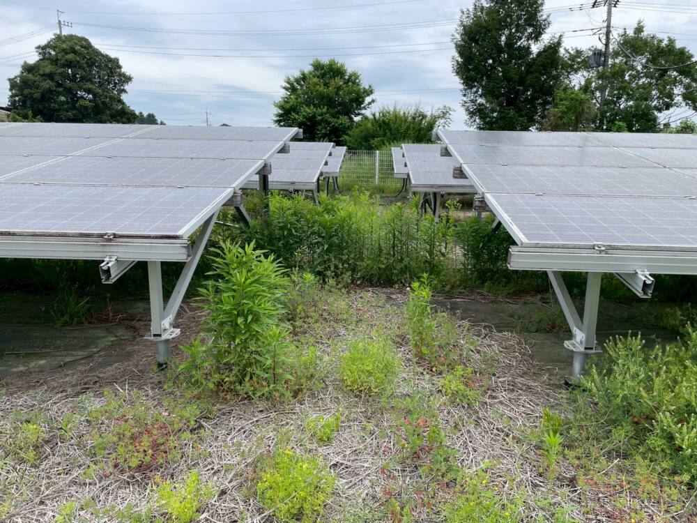 実績・評判口コミ画像01-茨城県　49.5kW　低圧