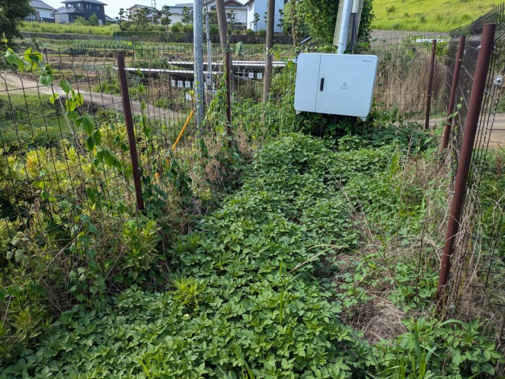 実績・評判口コミ画像02-佐賀県　49.5kW　低圧