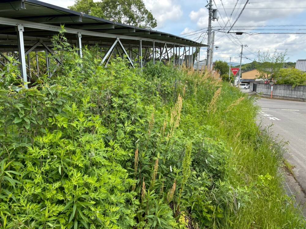 実績・評判口コミ画像01-徳島県　44kW　低圧