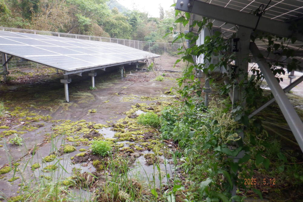 実績・評判口コミ画像02-兵庫県　49.5kW　低圧