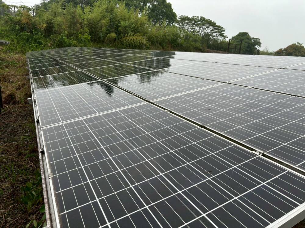 鹿児島県　49.5kW　低圧 (②)