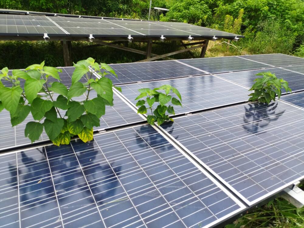 実績・評判口コミ画像01-岐阜県　49.5kW　低圧