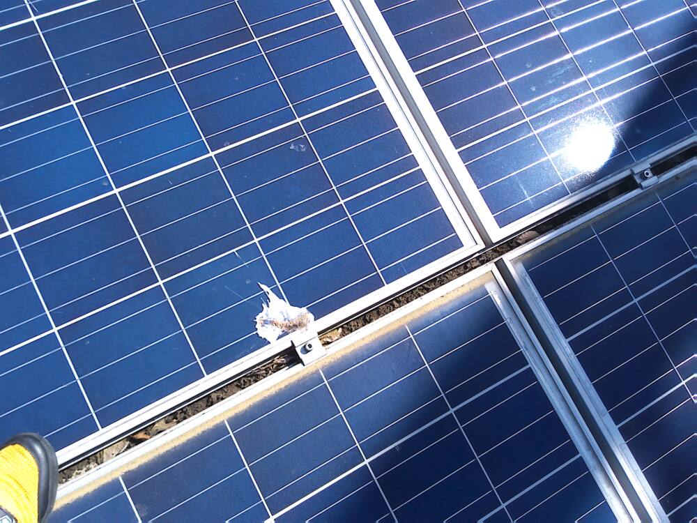 実績・評判口コミ画像01-徳島県　49.5kW　低圧