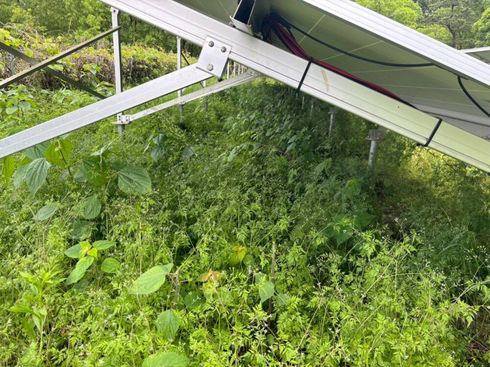 実績・評判口コミ画像03-熊本県　49.5kW　低圧