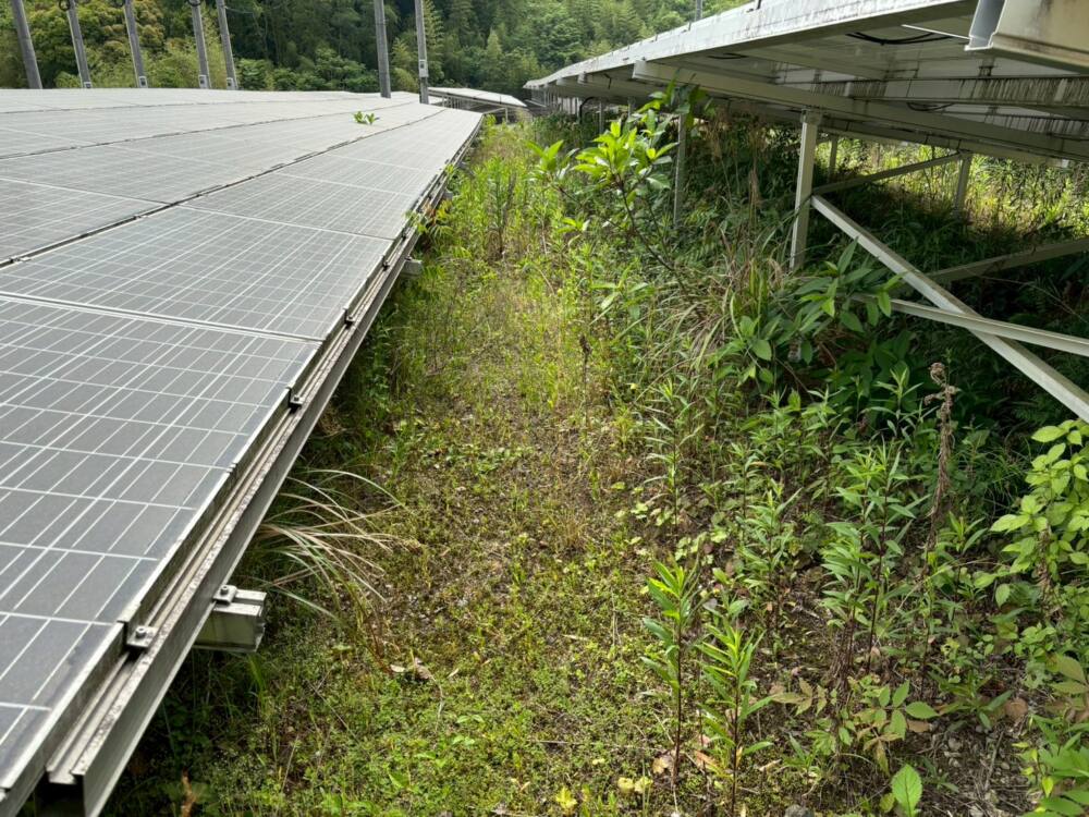 実績・評判口コミ画像03-鹿児島県　49.5kW　低圧