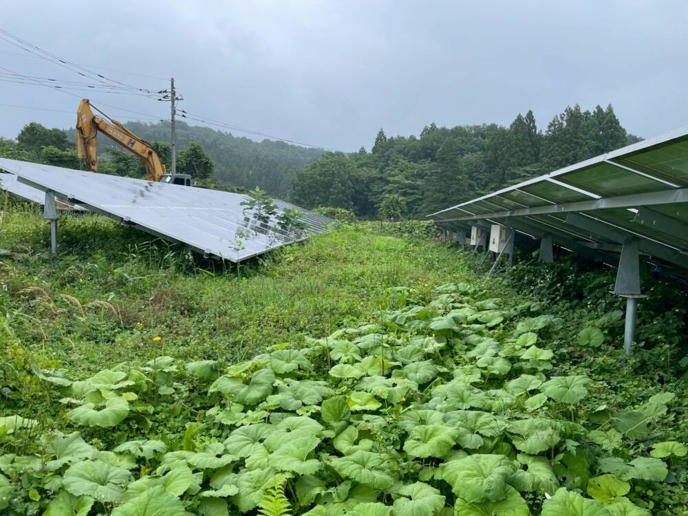 実績・評判口コミ画像01-栃木県　49.5kW　低圧