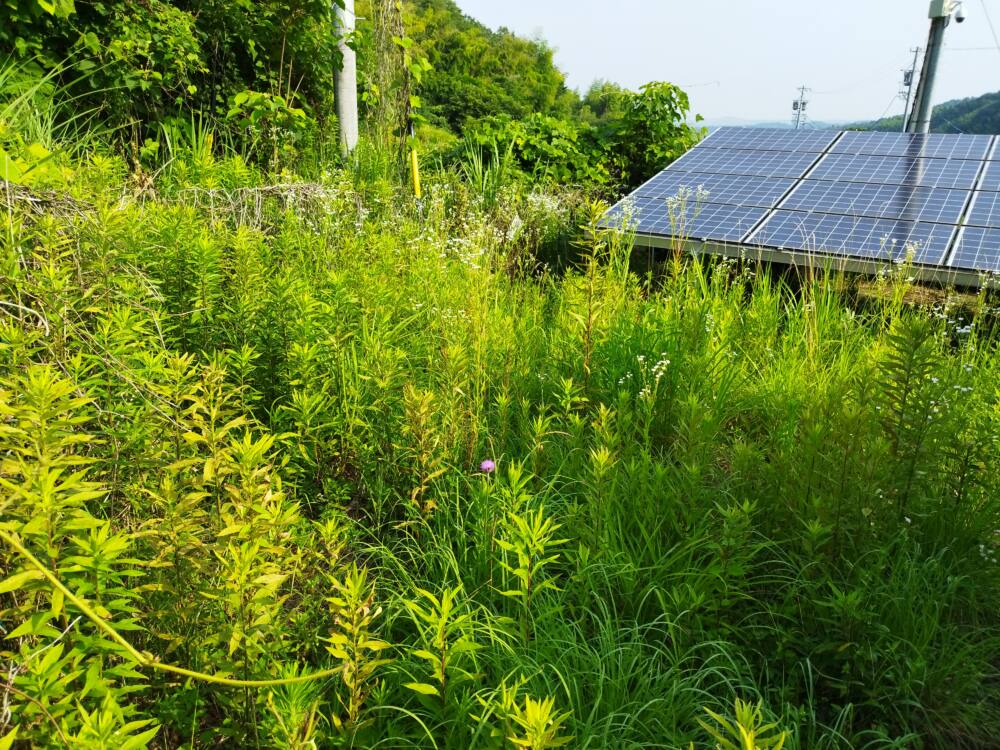 実績・評判口コミ画像02-岐阜県　49.5kW　低圧