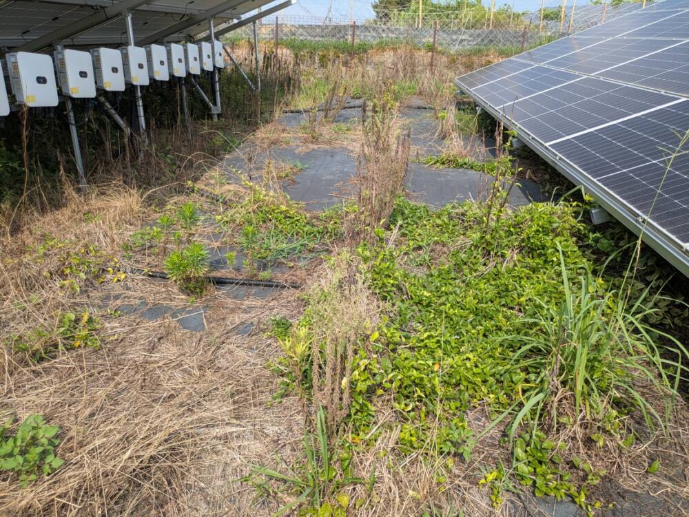 実績・評判口コミ画像01-佐賀県　49.5kW　低圧