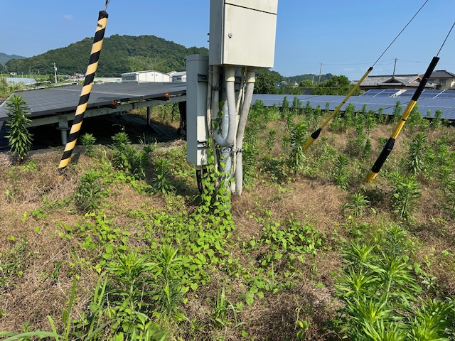 実績・評判口コミ画像01-三重県　49.7kW　低圧