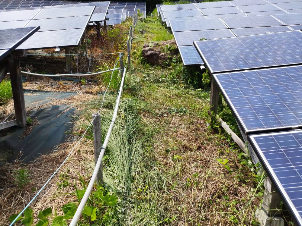 実績・評判口コミ画像01-長野県　49.5kW　低圧