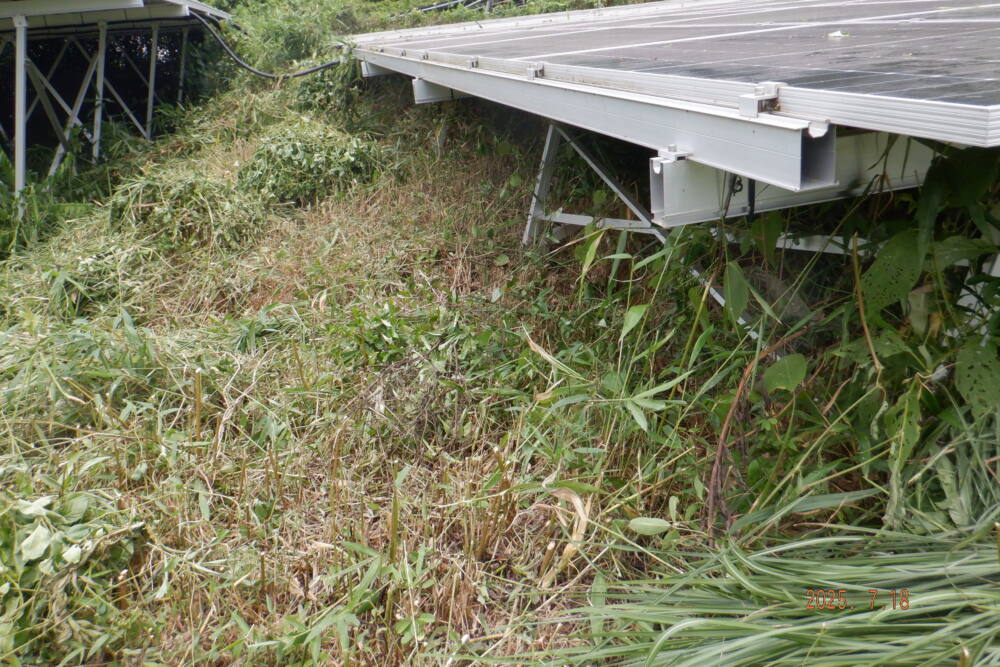 実績・評判口コミ画像03-和歌山県　49.5kW　低圧