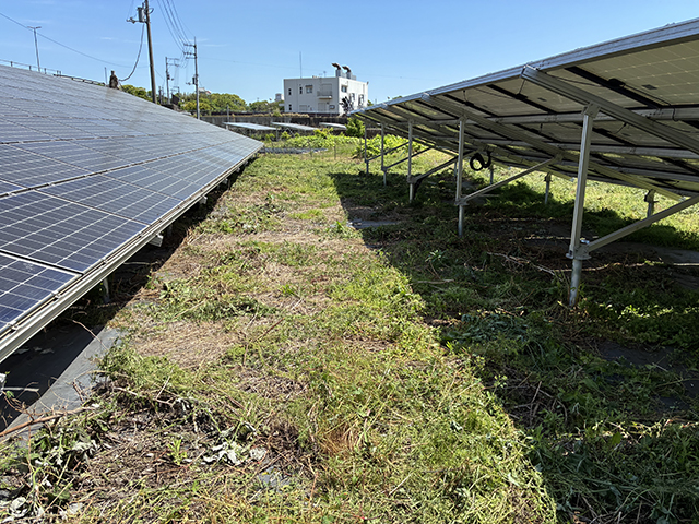 実績・評判口コミ画像01-徳島県　49.5kW　低圧