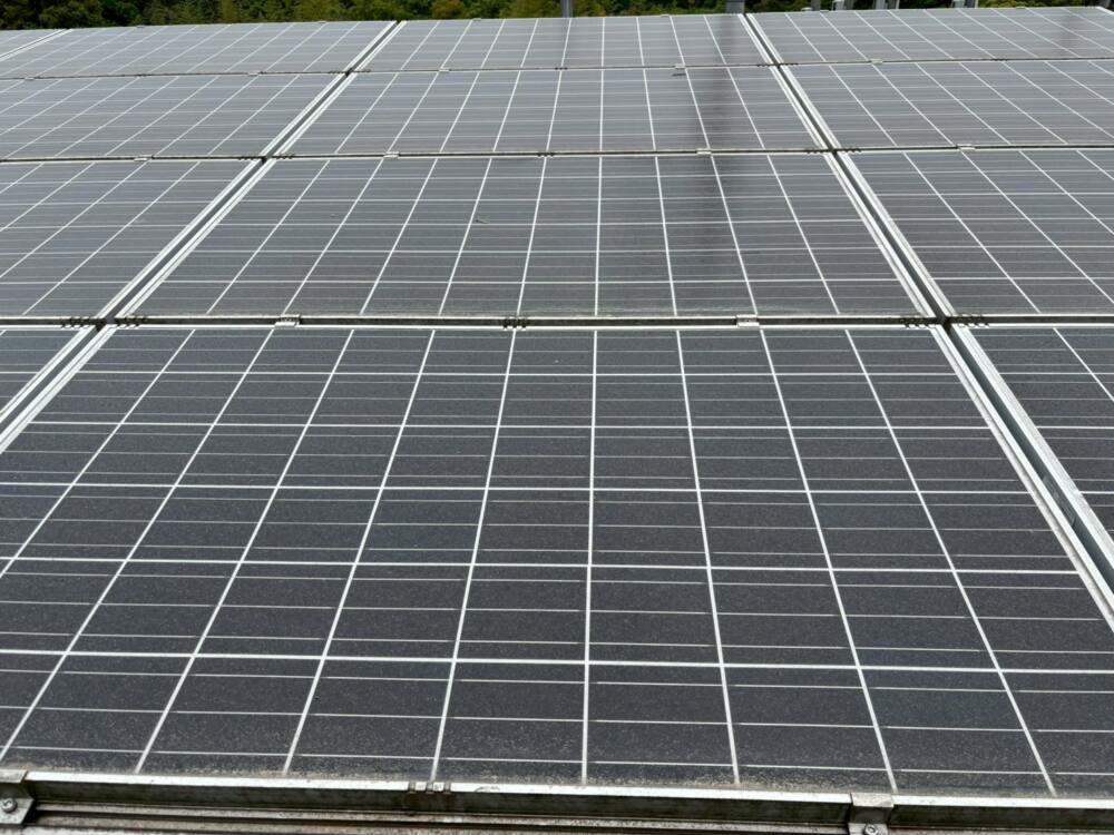 鹿児島県　49.5kW　低圧